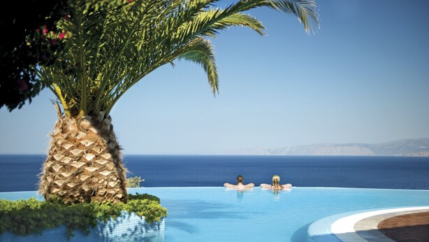 Une piscine avec vue sur la mer, entourée de verdure et agrémentée d’un palmier.