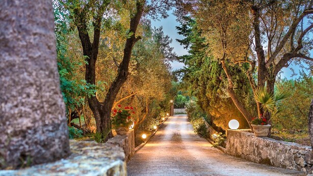 Un sentier bordé d’arbres et de murs de pierre, qui mène à un point de vue éloigné.
