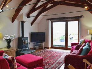 Fernseher, Kamin