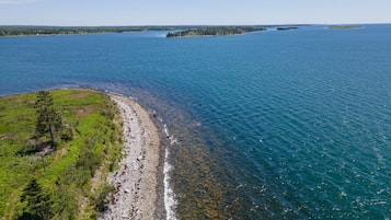 Ranta