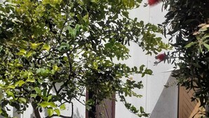 تفاصيل الفندق من الخارج
