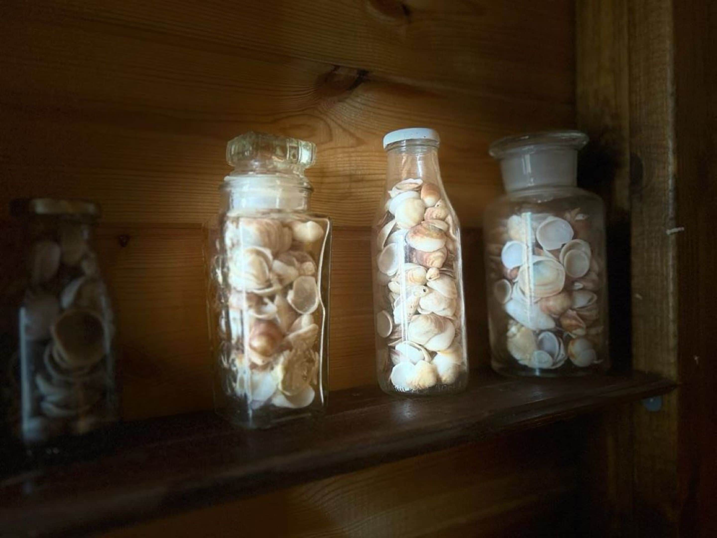 Three glass jars filled with seashells on a wooden shelf.