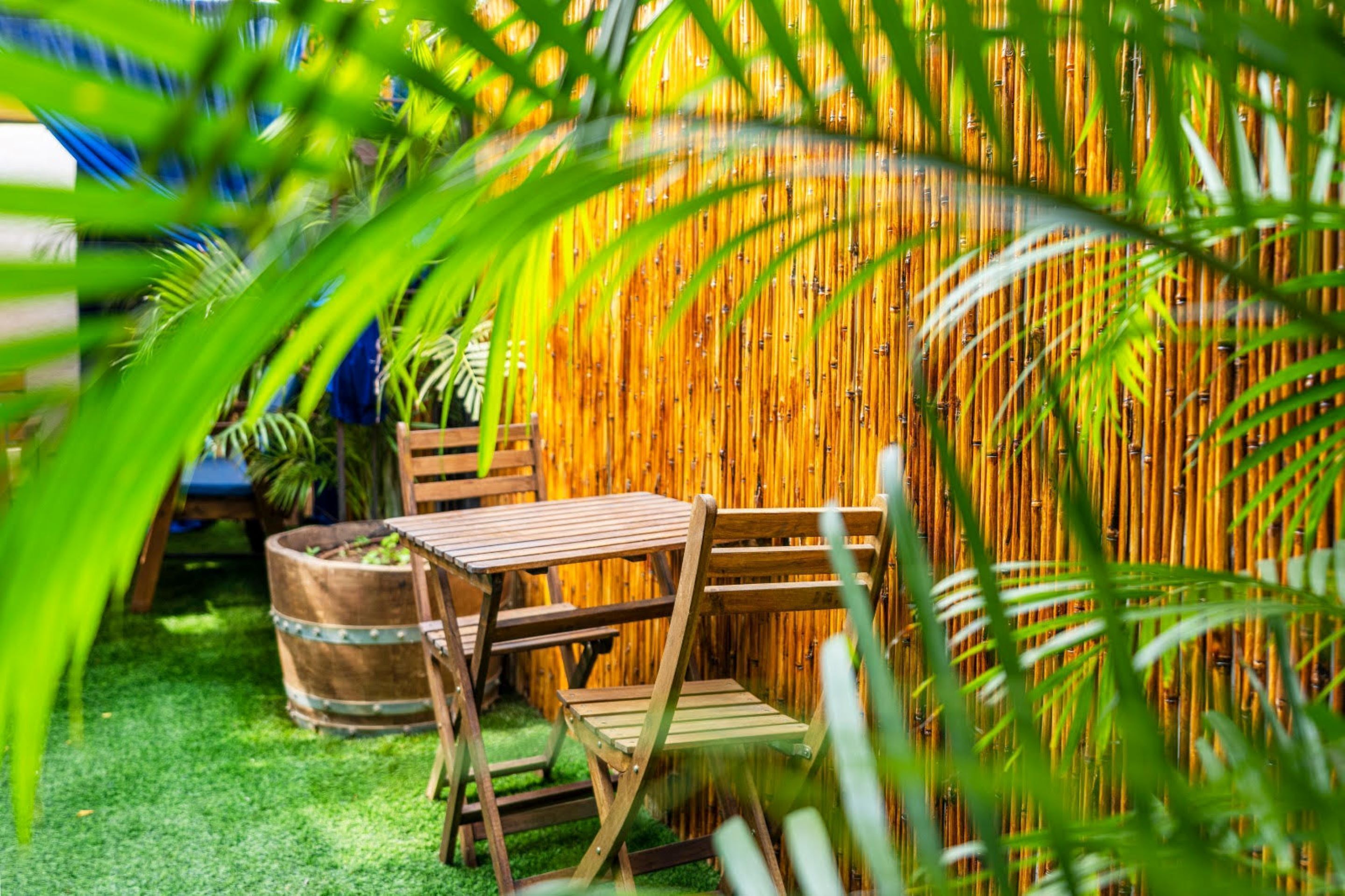 Pared de bambú, muebles de madera y plantas verdes en un jardín.