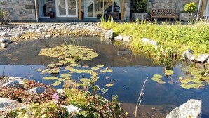 A stone building with a pond, surrounded by rocks and plants.