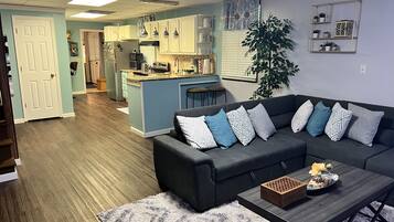 Smart TV, fireplace, books