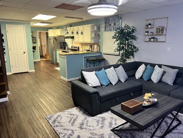 Smart TV, fireplace, books