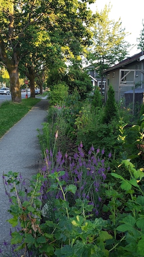 A pathway lined with lush greenery and purple flowers, leading to a residential area with houses and parked cars. - Sunlit Craftsman Home | Steps to Cafes and restaurants | 10 mn to downtown (Vancouver)