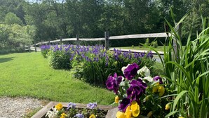 A garden with a wooden deck, flower beds with purple and yellow flowers, and a wooden fence in the background. - Pristine Custom Cottage, Grand Piano, Massage Studio on Site (Leicester)