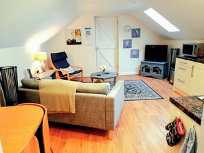 TV, fireplace, DVD player