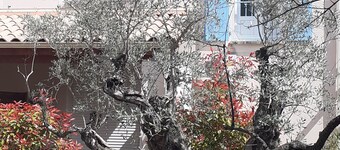 "La Maison de Natoé" Nyons 2ch.+piscine Partagée Résidents Propriété