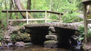 A stone bridge with a wooden railing over a clear stream in a forested area.