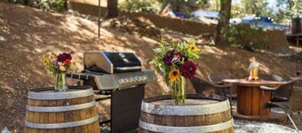 2 Bedroom Mountain Cabin with Wellness Retreat Upgrades Near Yosemite and Dodge Ridge Ski Resort