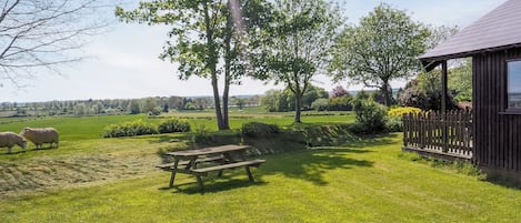 A grassy area with a wooden bench, a wooden fence, and a building with a porch.
