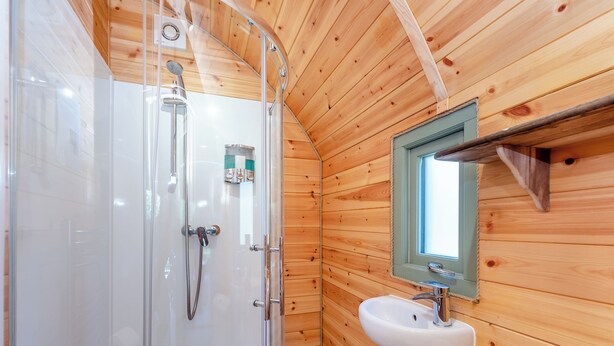 Une salle de bain rustique, avec des murs en bois, une cabine de douche en verre, un lavabo blanc et des toilettes.