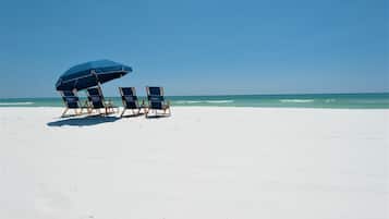Playa en los alrededores, camastros y toallas de playa