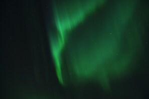 Experience the breathtaking display of the Northern Lights in the night sky.