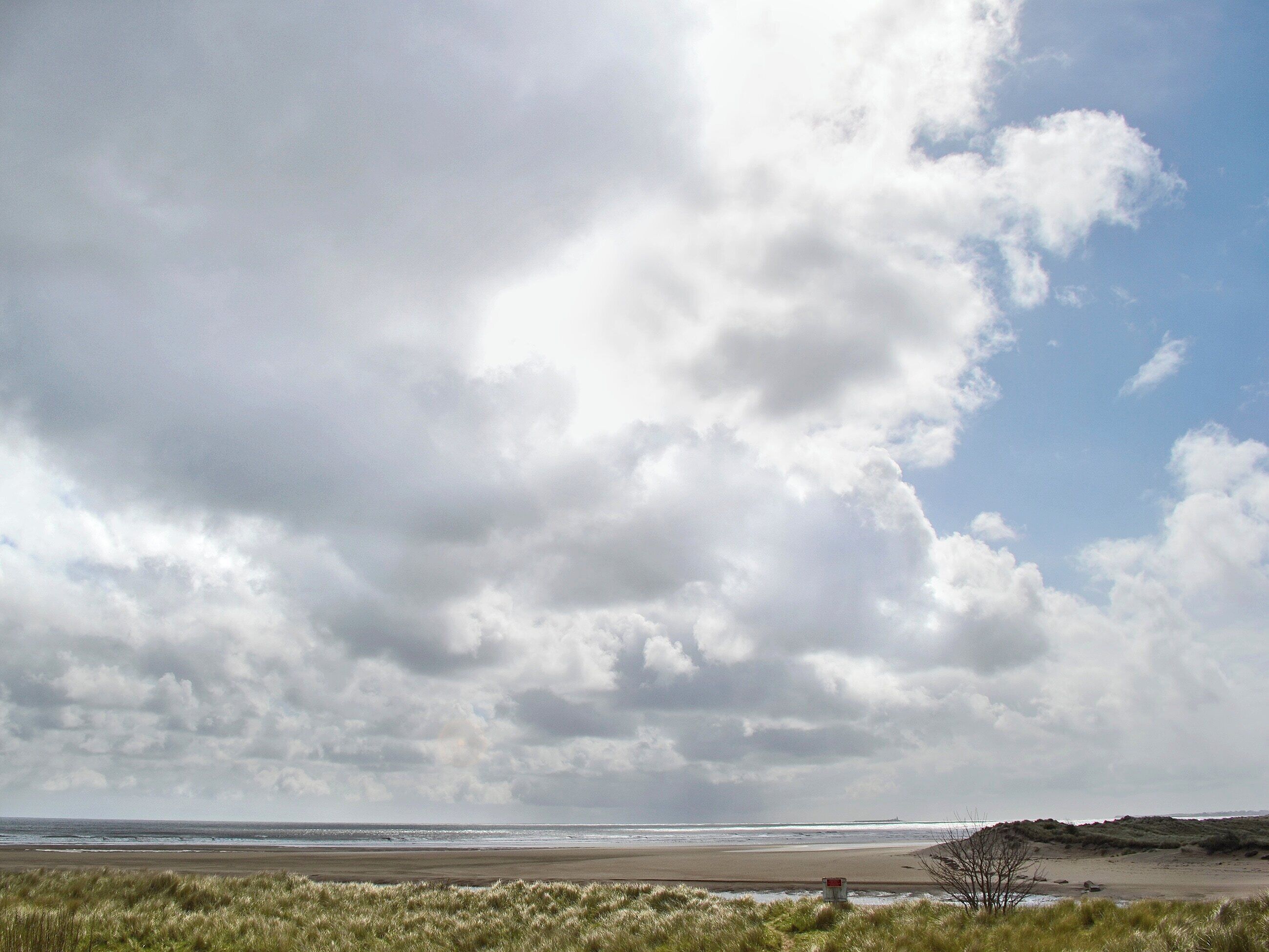 A beach with a grassy foreground and a cloudy sky.