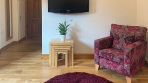Een woonkamer met een flatscreen televisie, een gestreept fauteuil, een klein houten bijzettafeltje met een plant en een paars vloerkleed.