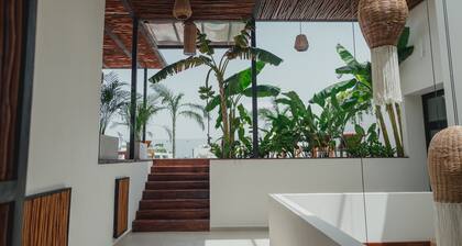Ah Xok suites 5a Avenida