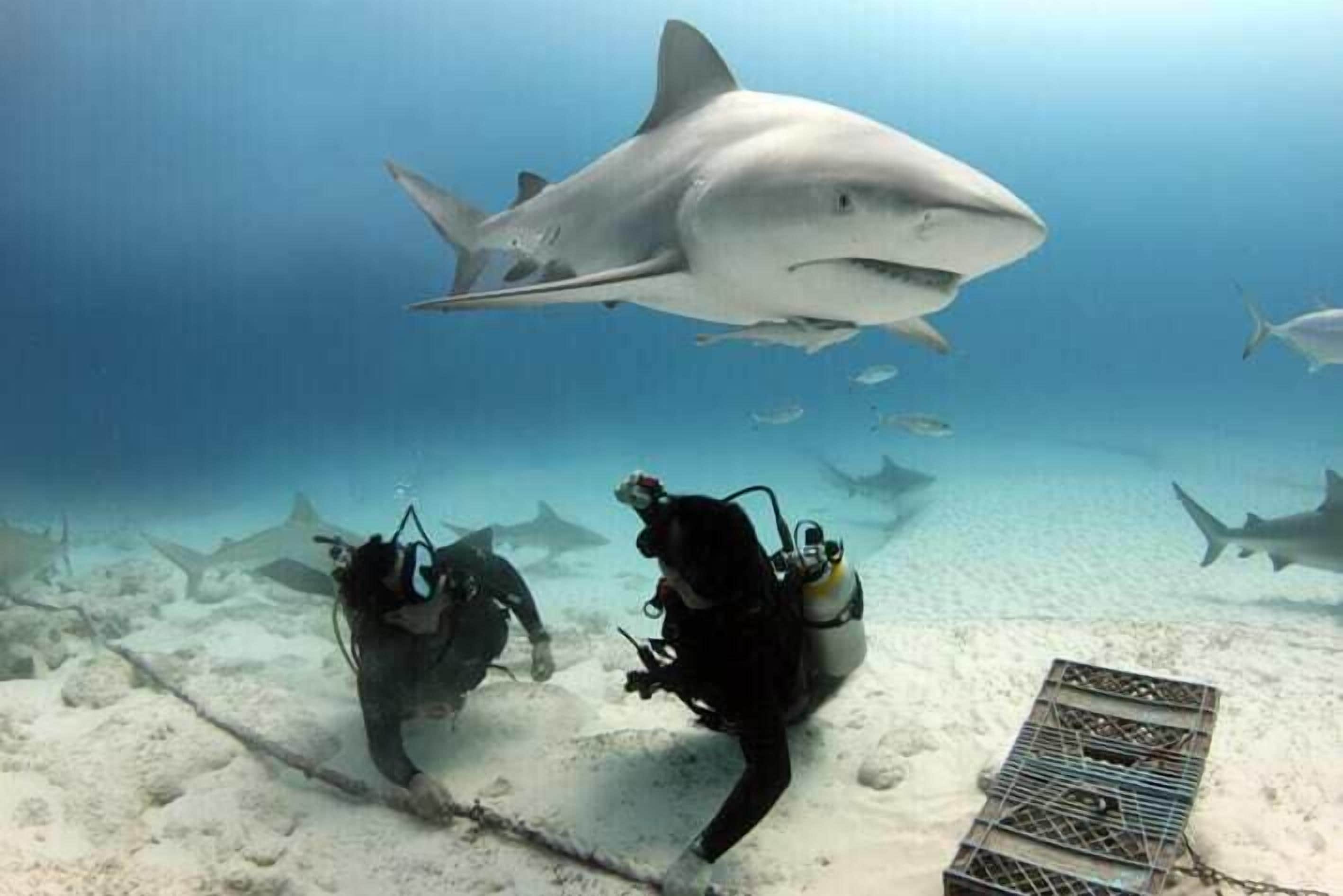 Photo - Phantom Suites