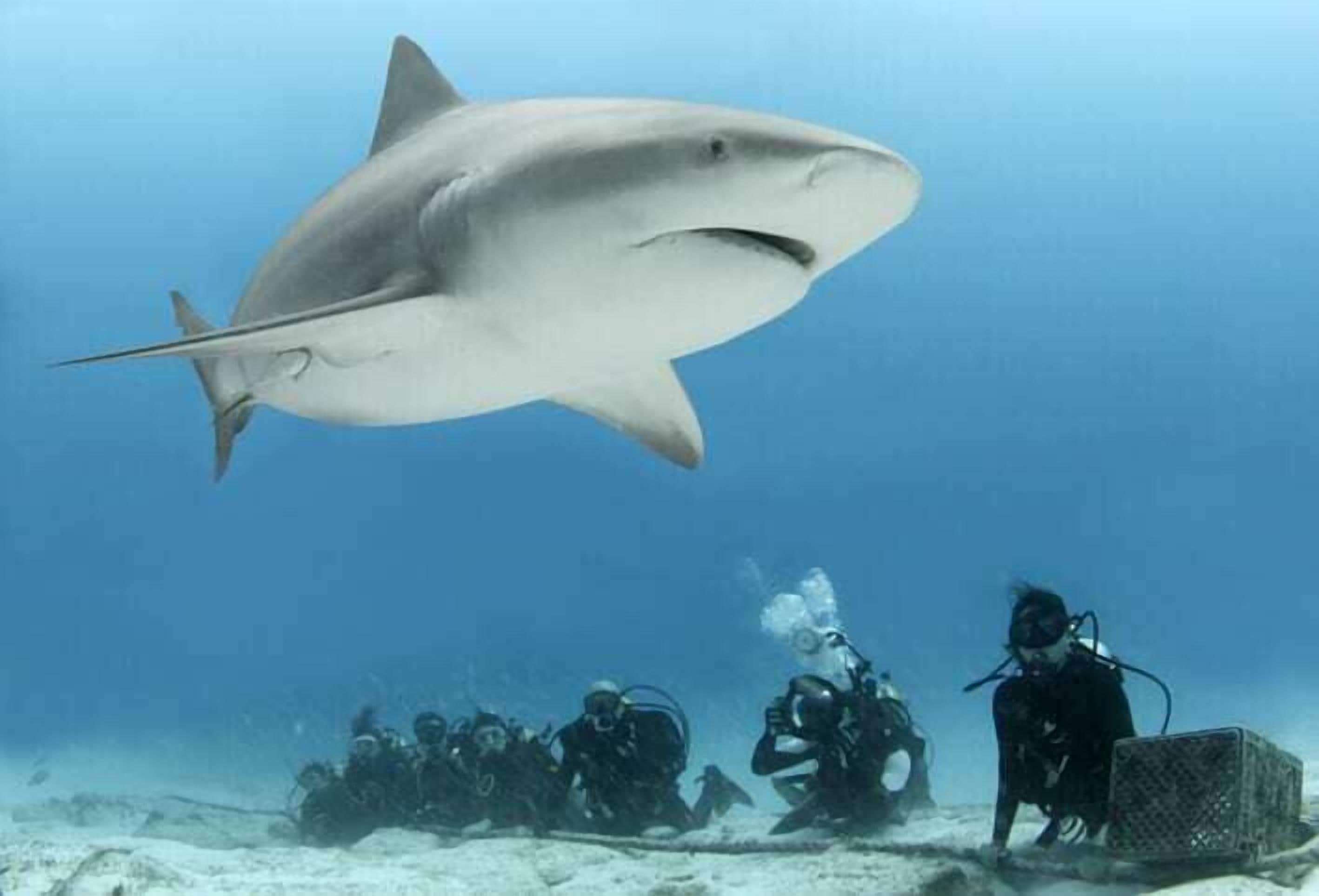 Photo - Phantom Suites