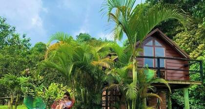 bungalows en medio de la naturaleza