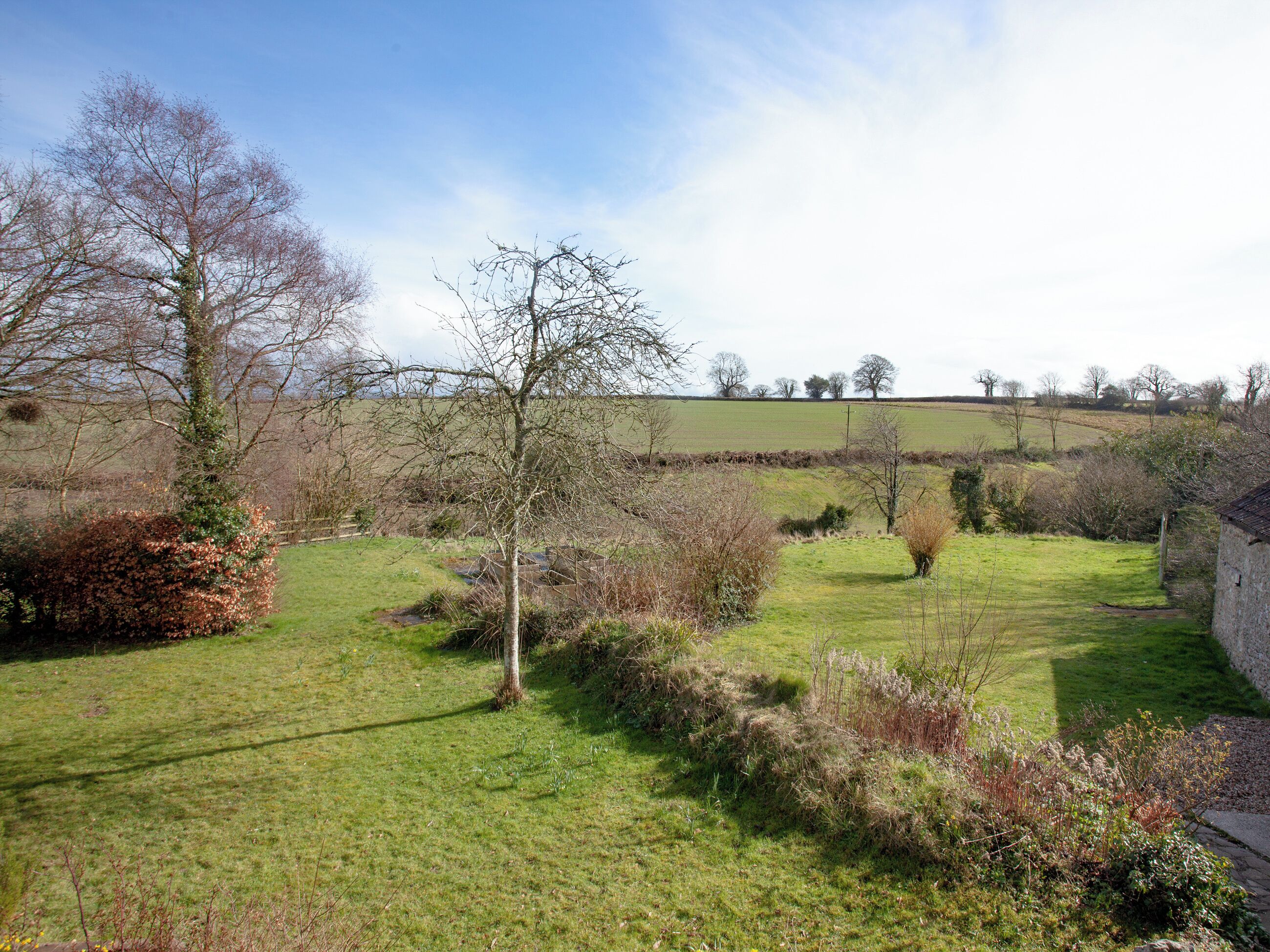 A rural landscape with a grassy field, a stone wall, and leafless trees.