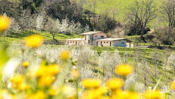 Free cots/infant beds