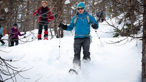 A person skiing in a snowy forest.