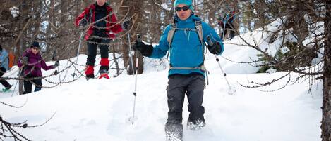 Eine Person fährt im Schnee durch einen bewaldeten Hang.