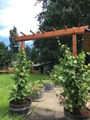 Property grounds - Private guest house-minutes away from Portland, Nike and many more! (Beaverton)