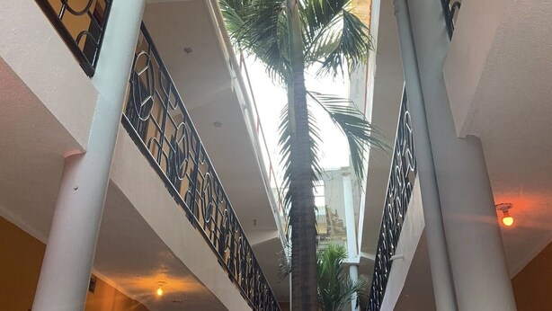Un atrio de varios niveles con una palmera central, pilares blancos y barandillas de metal decorativo.