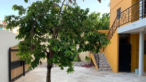 Un patio con un árbol, piso de concreto, pared amarilla y una reja negra.