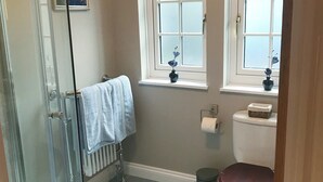 Une salle de bain avec une douche à parois de verre, des toilettes et deux fenêtres ornées de vases de fleurs.