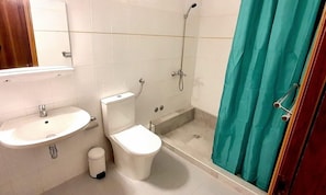 Panoramic Double or Twin Room | Bathroom | Shower, hair dryer, towels