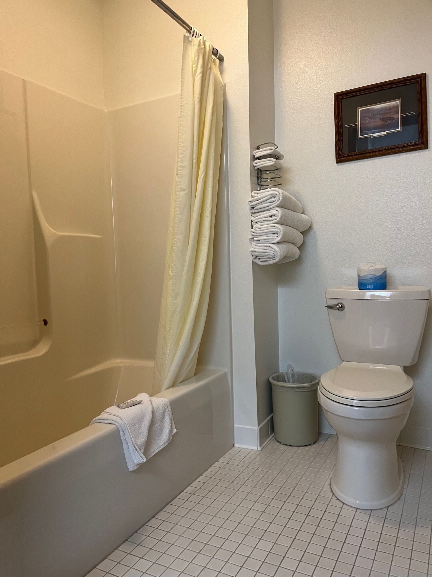A bathroom with a bathtub, toilet, and a shower curtain.
