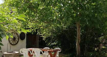 Holiday home country-style