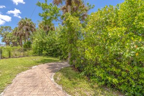 Meandering pathway through lush greenery, surrounded by palm trees and shrubbery.