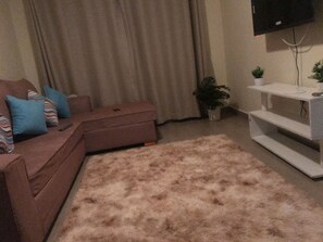 Fernseher