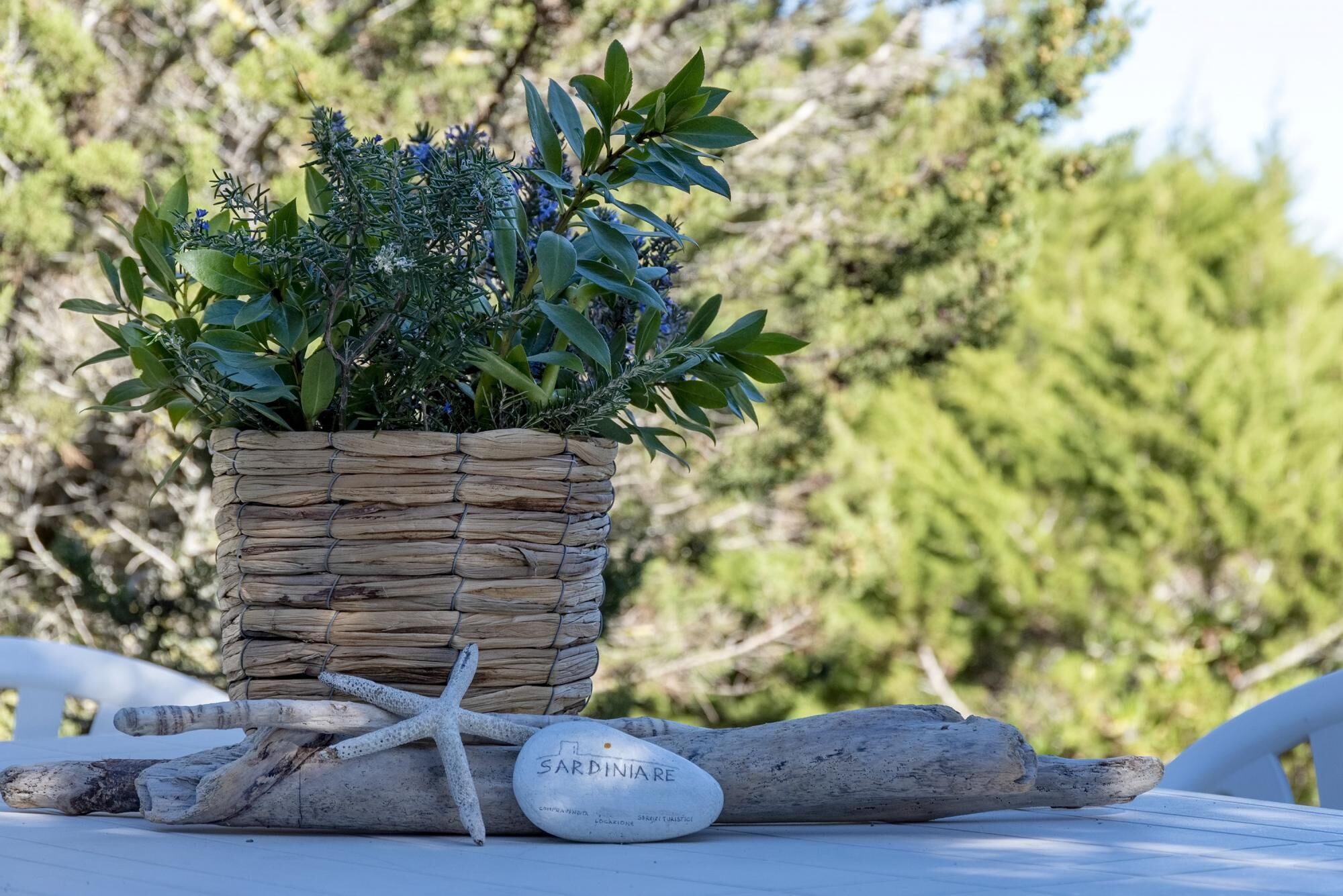 A woven basket with a plant, a starfish, a driftwood piece, and a stone with "SARDINIA" engraved on it.