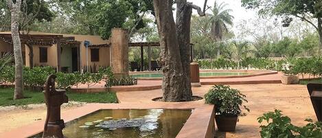 Un patio con una fuente, una estatua y un edificio con una pérgola.
