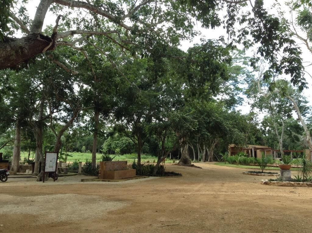 A dirt path leading to a building surrounded by trees.
