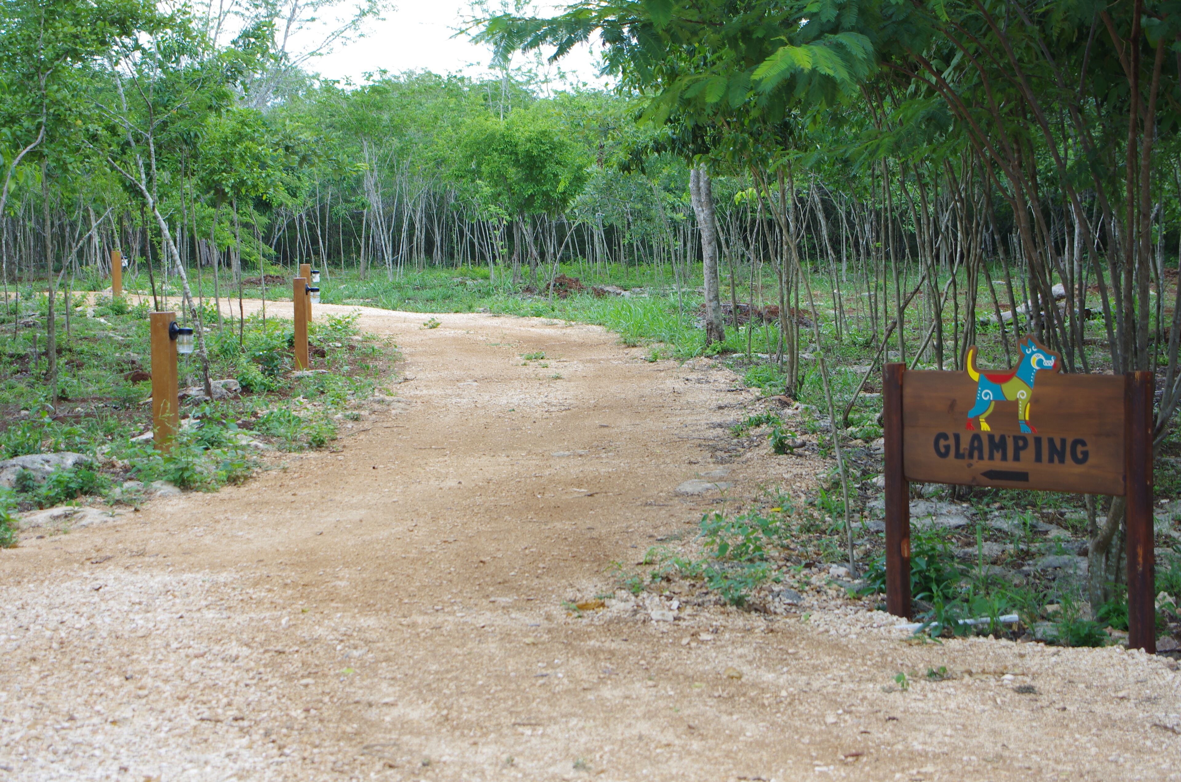 A dirt path leading to a glamping area with a wooden sign.