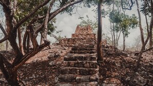 Una escalera de piedra que sube hacia una construcción rodeada de árboles.