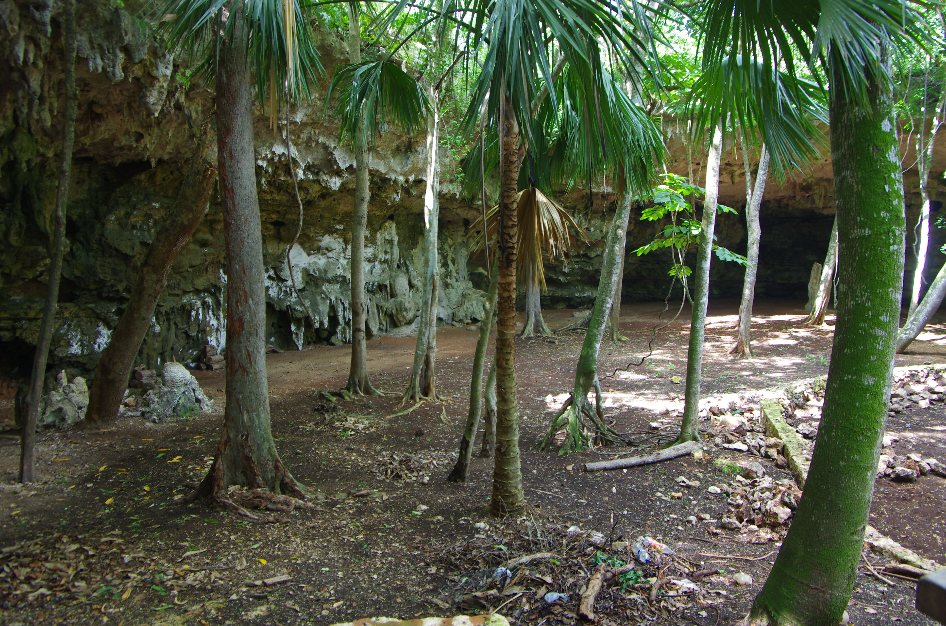 Une grotte avec des formations rocheuses naturelles et des arbres.