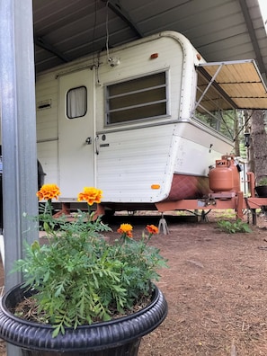 Àrea exterior de l'allotjament