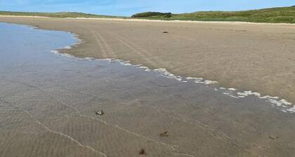 3br-Sea View-Fireplace-Garden-Free Parking