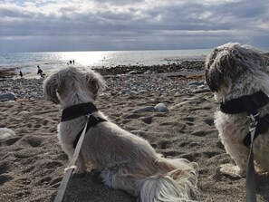 Plage à proximité