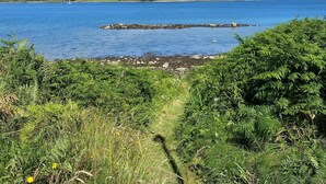 A coastal landscape with a clear view of the sea, a rocky breakwater, and lush greenery in the foreground.