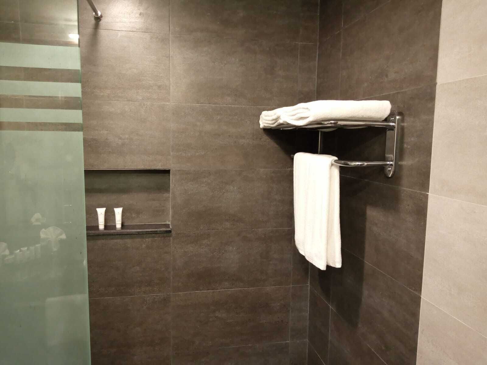 shower, free toiletries, bidet, towels